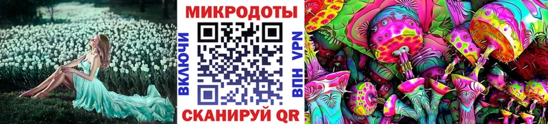 Псилоцибиновые грибы Psilocybe  mega зеркало  Адыгейск  где найти  