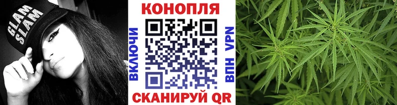 магазин продажи наркотиков  Адыгейск  Бошки Шишки индика 